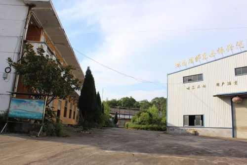 邵东振兴汽配厂房地产拍卖 砂石镇柳东村的投资机遇