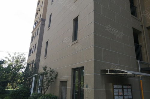 神州通城西印象 优点、不足与周边房产中介经纪人评价分析